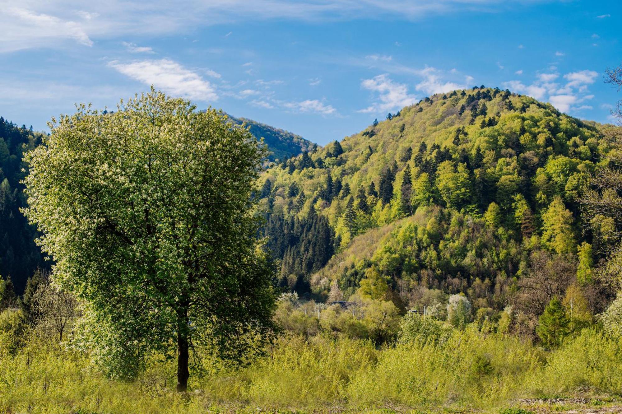 Рибничанка Hotell Skhidnytsia Exteriör bild